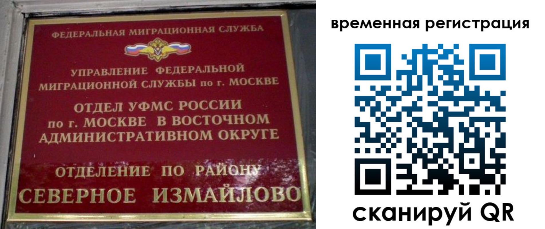 где прописаться в Павловске